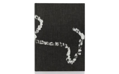 7439 by Renato d’Agostin