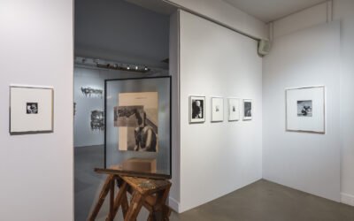 a ppr oc he 2019 – Noé Sendas