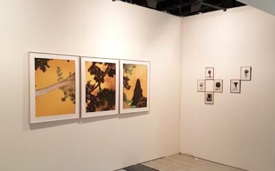 Mia Photo fair, 2017 – Yoshinori Mizutani, Noe’ Sendas
